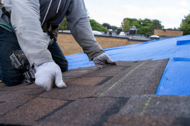 Quick and Trustworthy Emergency Roof Repair Services in Siloam Springs, AR